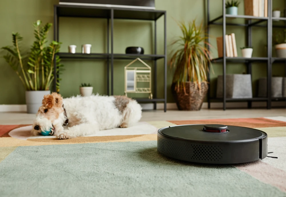 self cleaning robot vacuum reviews